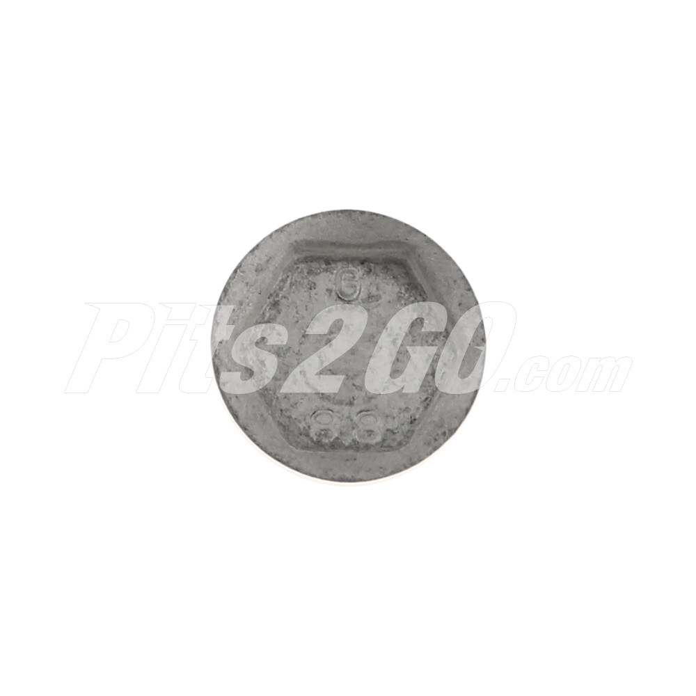 Tornillo fijación para Buses, Marca Freightliner, compatible con OMC image number 4