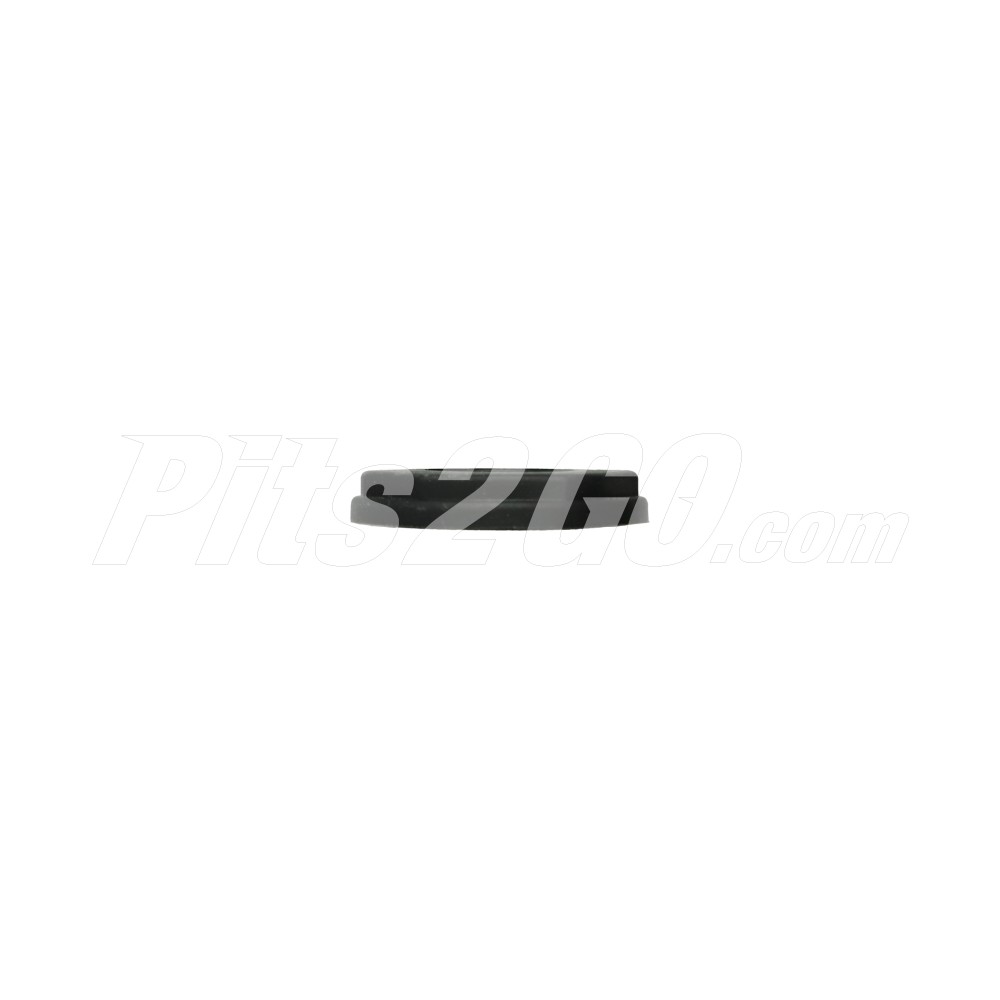 Tuerca plástica para Tractocamión, Marca Pollak, compatible con Columbia image number 3