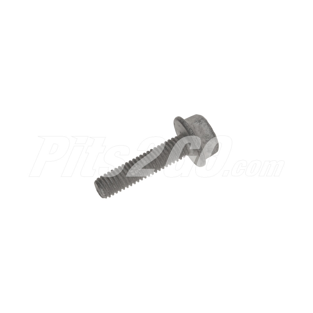 Tornillo fijación para Buses, Marca Freightliner, compatible con OMC image number 2
